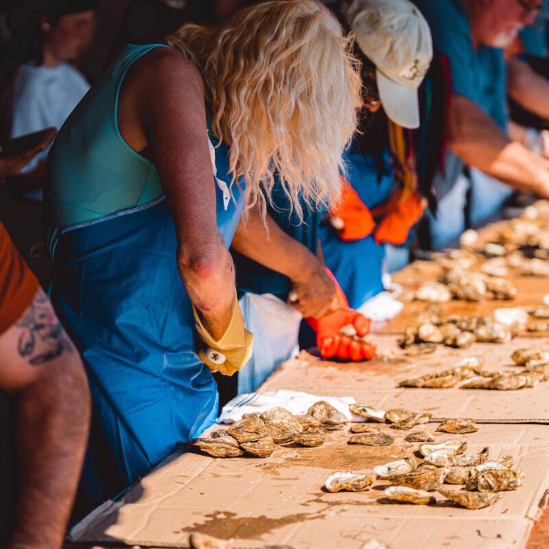 Festival Home NC Oyster Festival